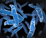 Rutgers study sheds light on how bedaquiline fights drug-resistant tuberculosis