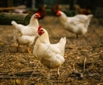 As California taps pandemic stockpile for bird flu, officials keep close eye on spending