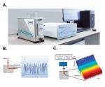 How can you measure particle size CQAs in (sterile) pharmaceutical packaging? – non-invasive measurements using SR-DLS