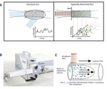 How do results from different dynamic light scattering instruments compare?