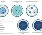 Lipid-based nanoparticles: Manufacturing and inline size characterization