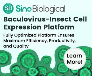 Baculovirus–insect cell expression system for protein delivery