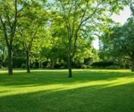 Inequalities in green space linked to preventable deaths in urban areas