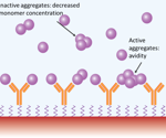 Advancing protein quality control for efficient high-throughput screening