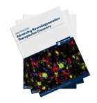 eBook: Neurodegeneration Therapeutics Discovery